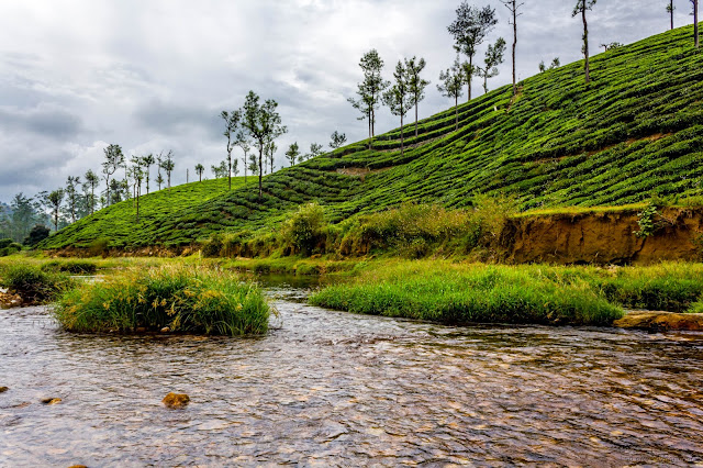 View from Kuzhankal aaru (river)