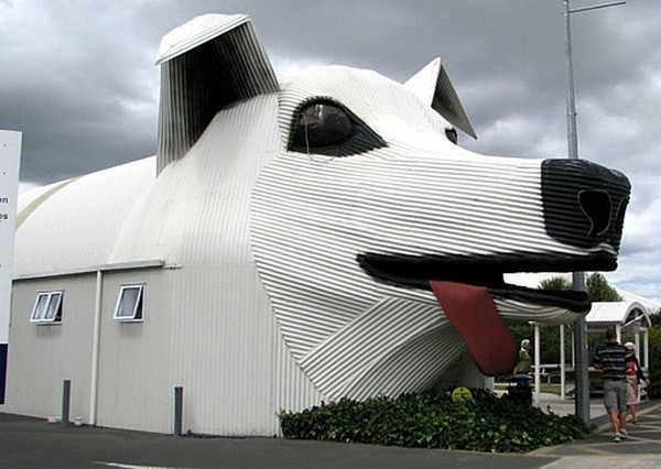 Dog House,New Zeland