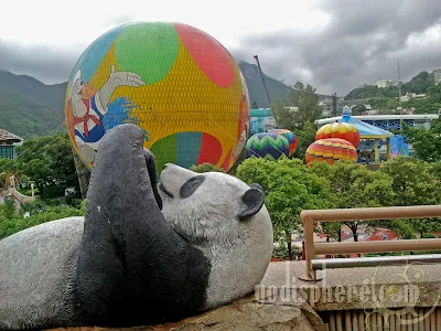 Giant Panda in Ocean Park