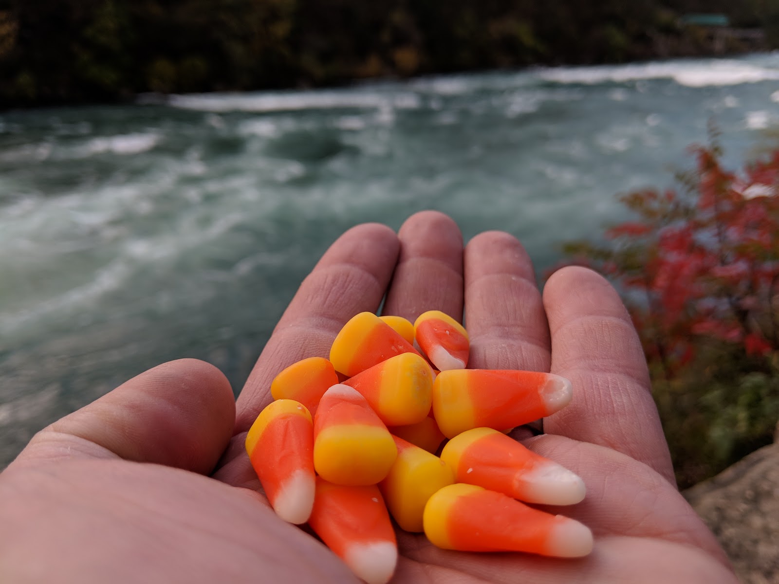Ultimate Survival Technologies Candy Corn Survival