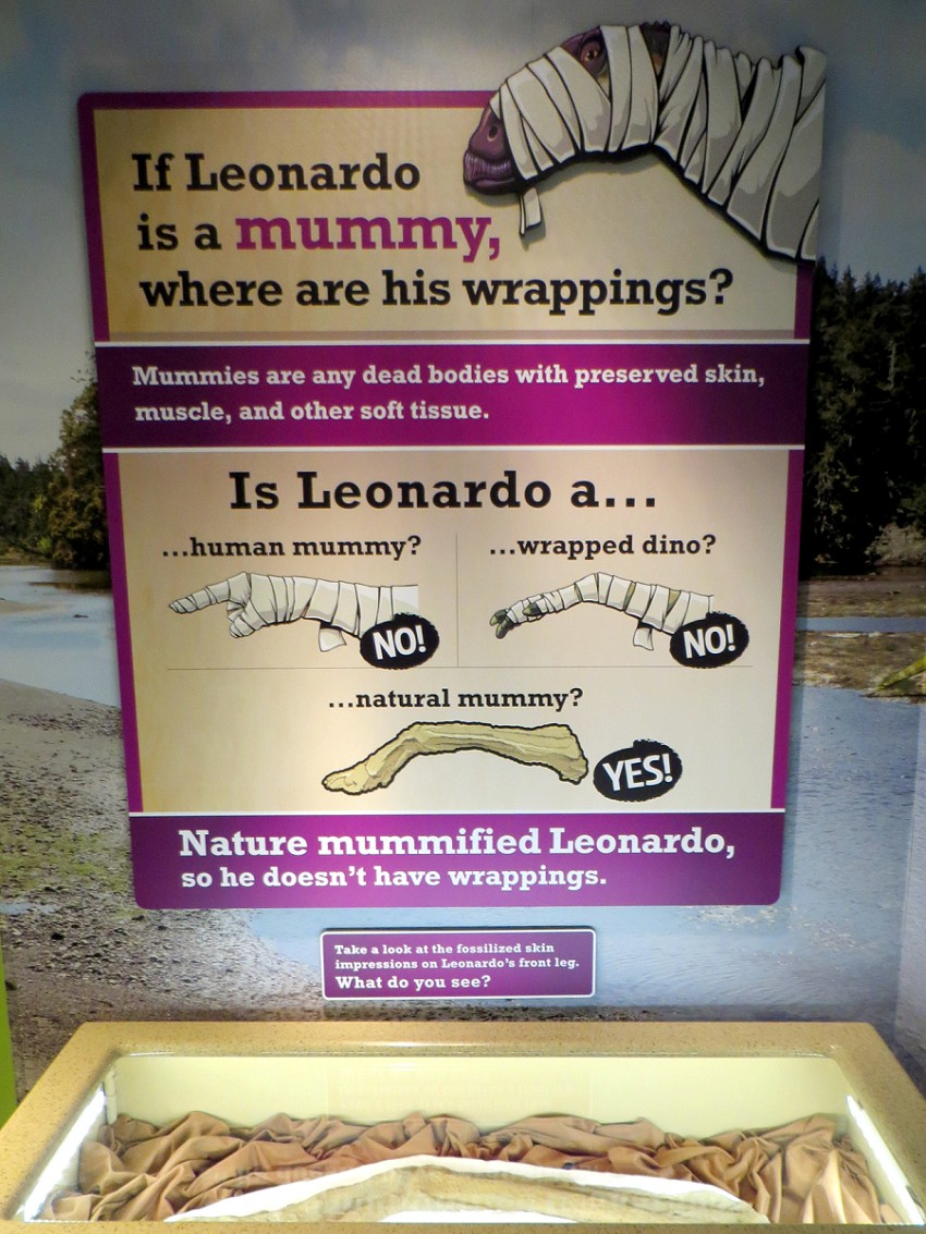 leonardo the dinosaur mummy