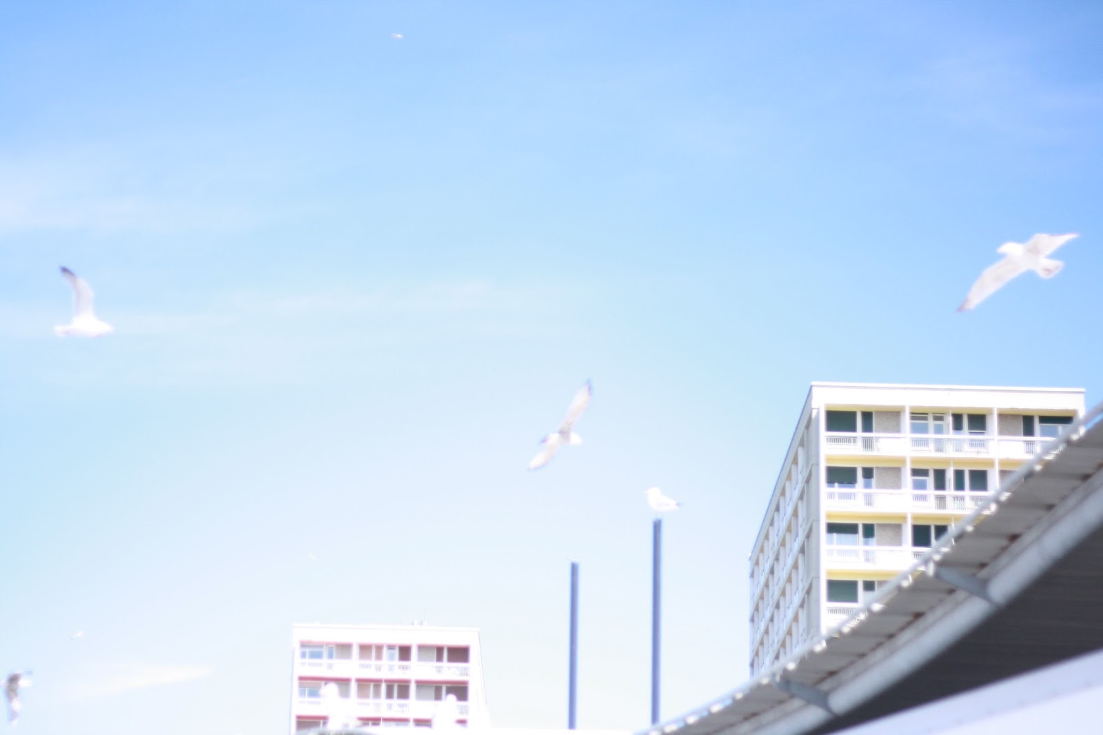 Galang Galang Galang ! Made in Faro