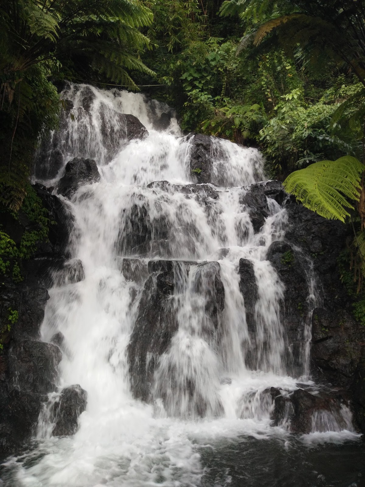 101+ Gambar Air Terjun Jembong Terlihat Keren 101+ Gambar Air Terjun Jembong Terlihat Keren