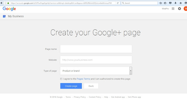 Google + Page