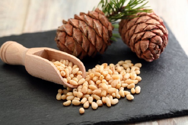 laborblog.my.id - Pinus yang menjulang tinggi menghasilkan kacang yang bisa dimakan. Manfaat kacang pinus ini baik untuk kesehatan Anda. Biji pinus termasuk dalam kategori kacang-kacangan, kaya akan lemak tak jenuh, kalium dan banyak vitamin.