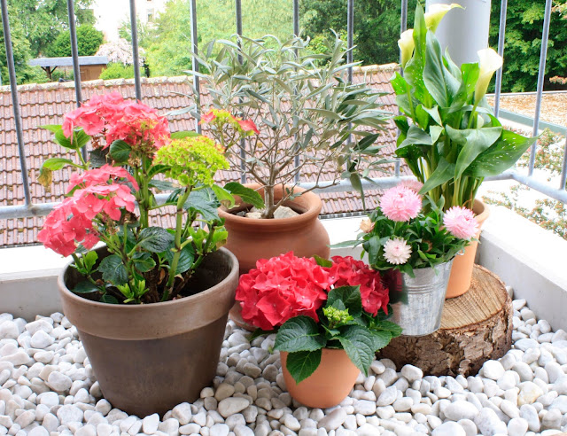 Innenleben Design Page 1 Chan 51167735 Rssing Com