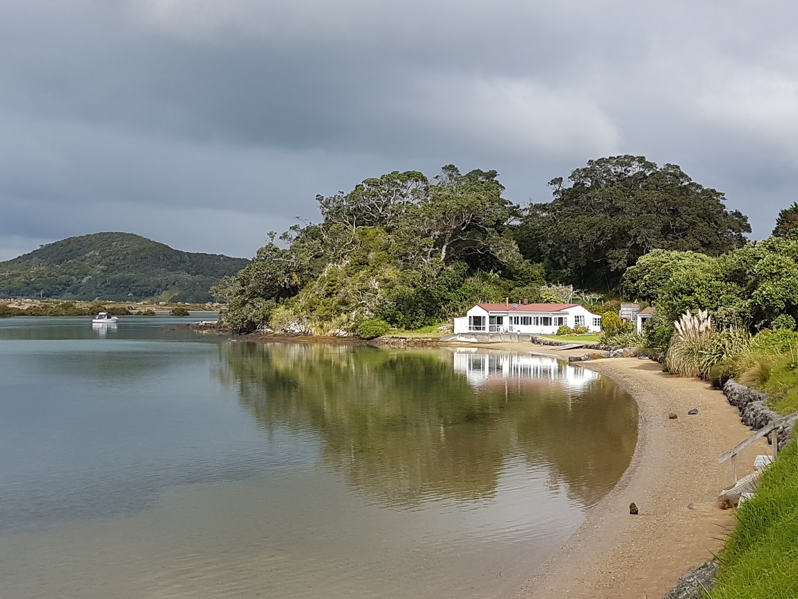 Arty Green in Paradise Ngunguru