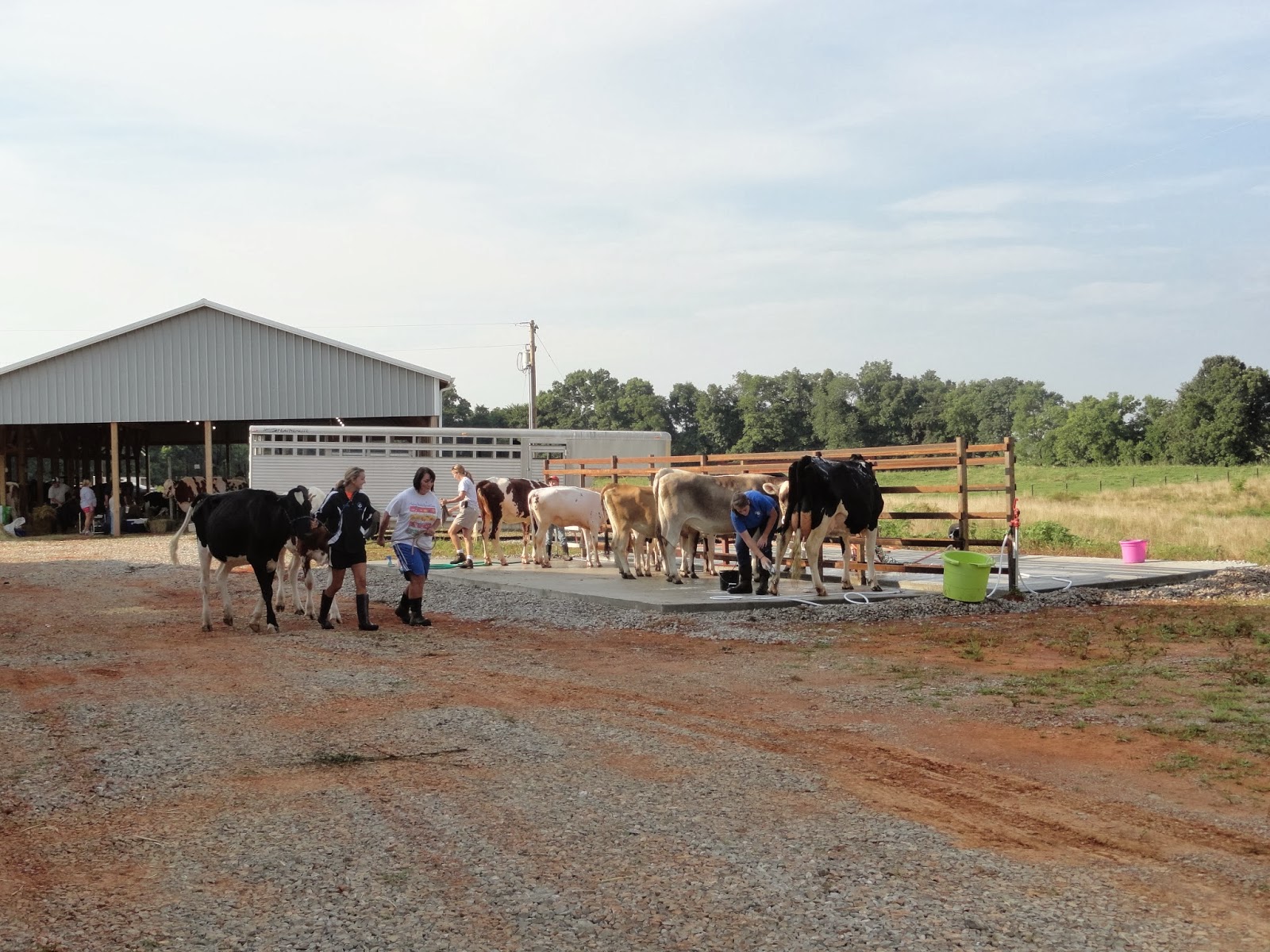 Burley Fields Livestock Center Photographs from the 2013 Southern