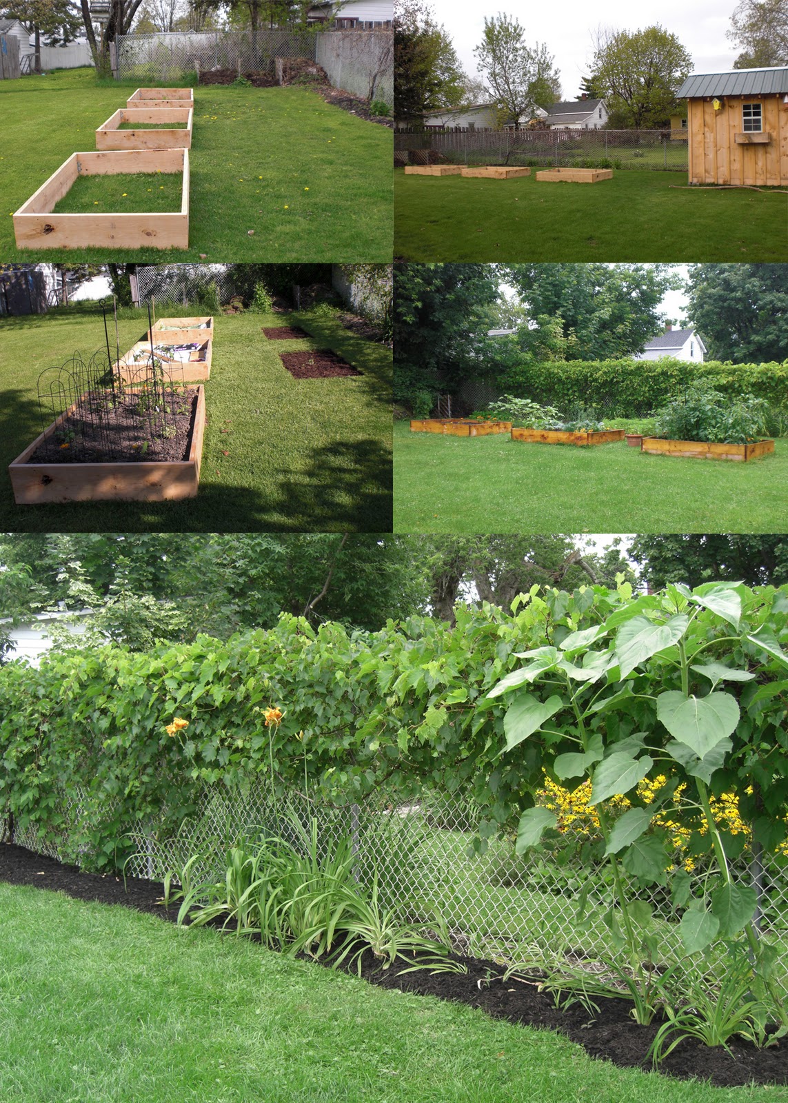 The Violet Fern: Potager (Kitchen Garden)