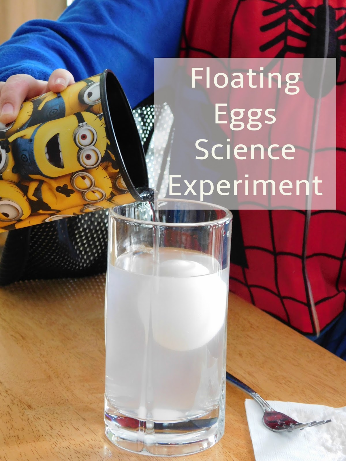 100 Days of Science 18 Floating Eggs