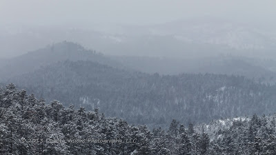 snowfall, custer state park, perfect photo suite 7, adobe lightroom, black hills photography