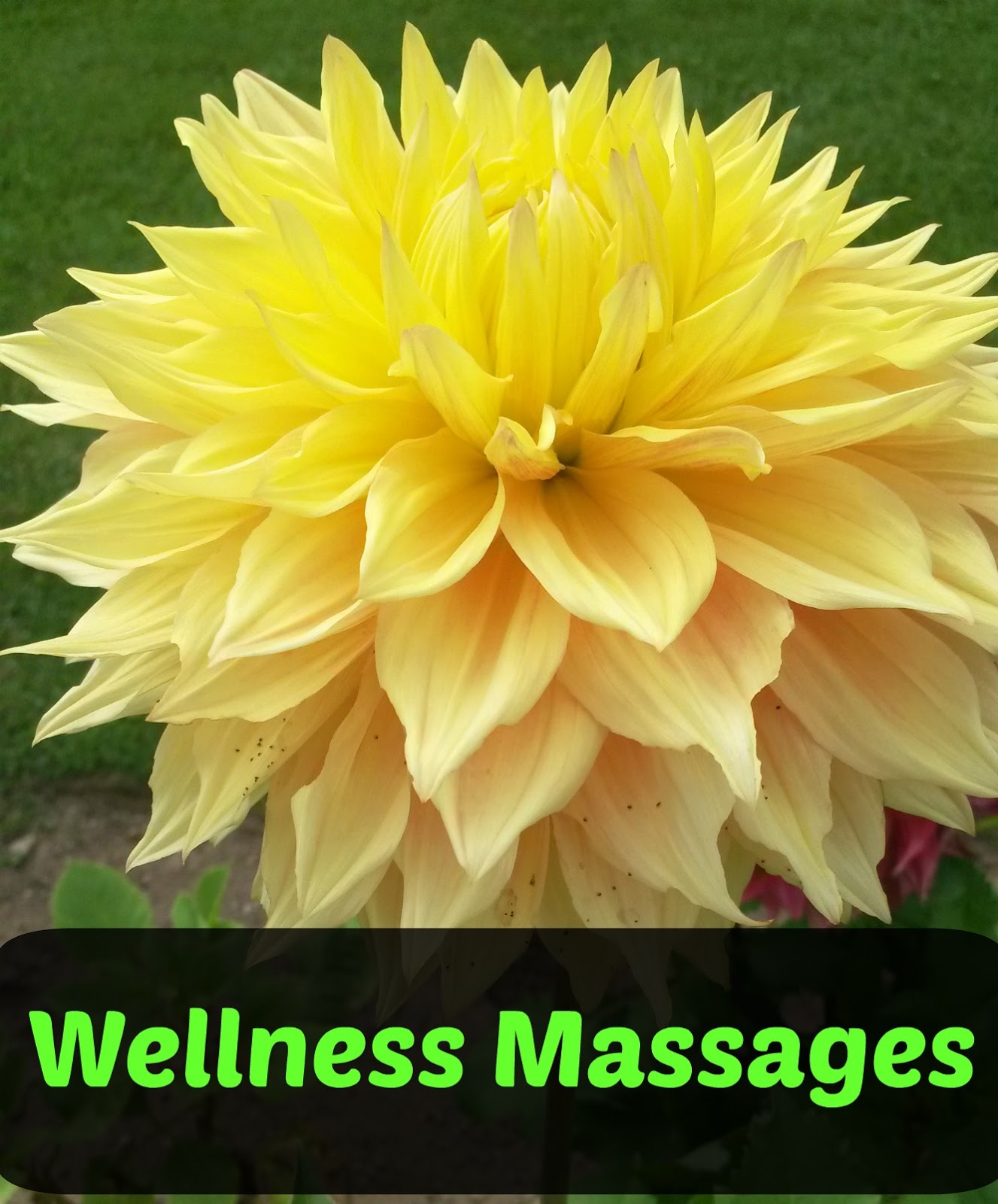 Wellness Wednesday Abdominal Massage The Trish List