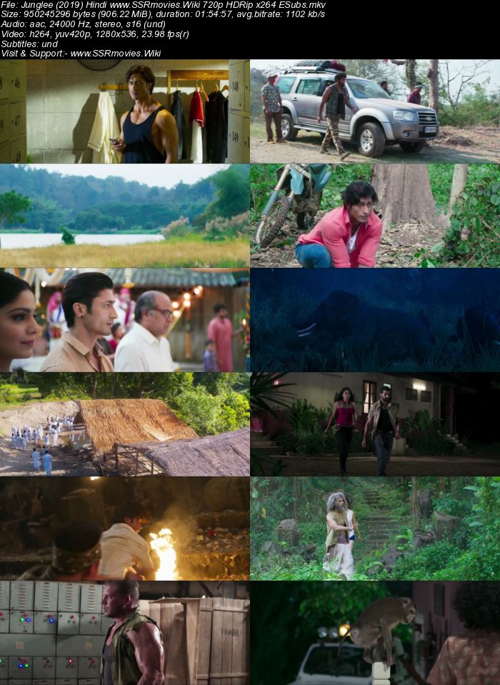 Junglee (2019) Hindi 480p HDRip x264 300MB ESubs Movie Download