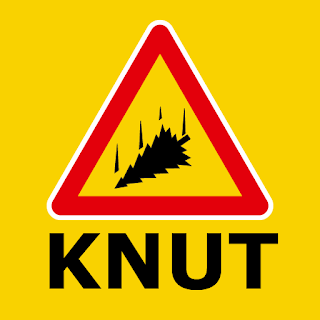 TAXIMANN KNUT