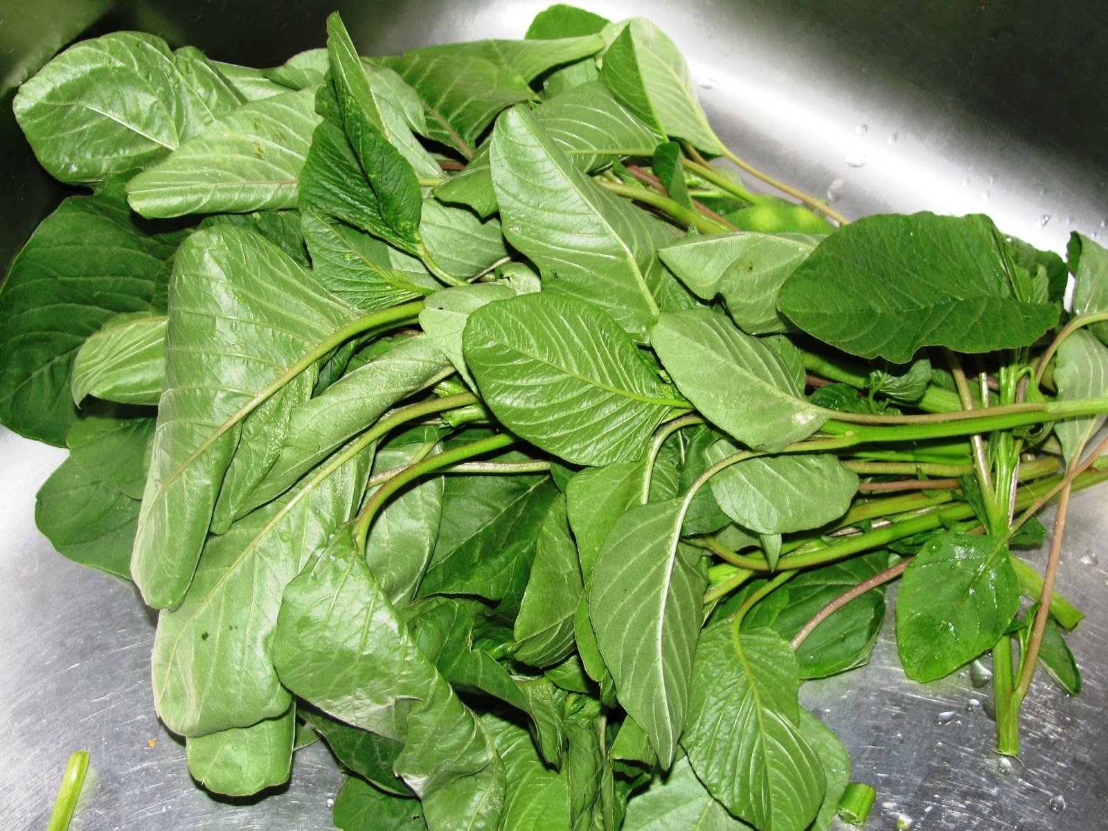 Beauty Of Tanzania Natural Medicine Amaranth green