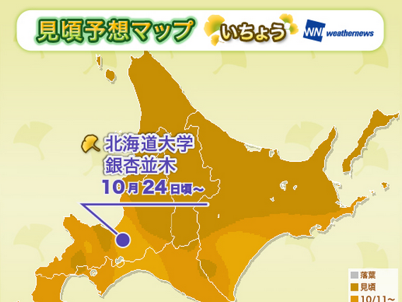 北海道紅葉情報2014