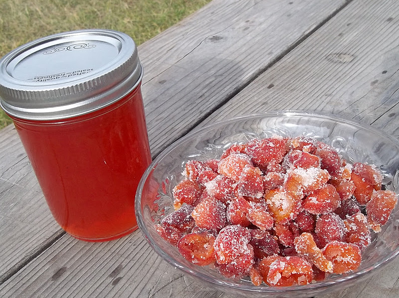 Cookin' In Our Bubbleworld Rose Jelly