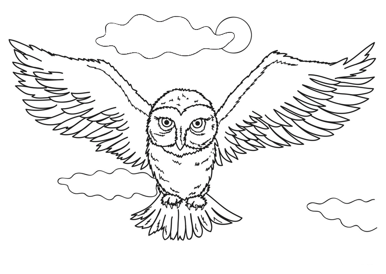 ga coloring pages - photo #44