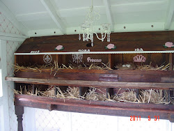 coop chicken nesting boxes shabby chic decorate coops tiny fairytale inside fancy box nest decorated organic painted paint hen nice