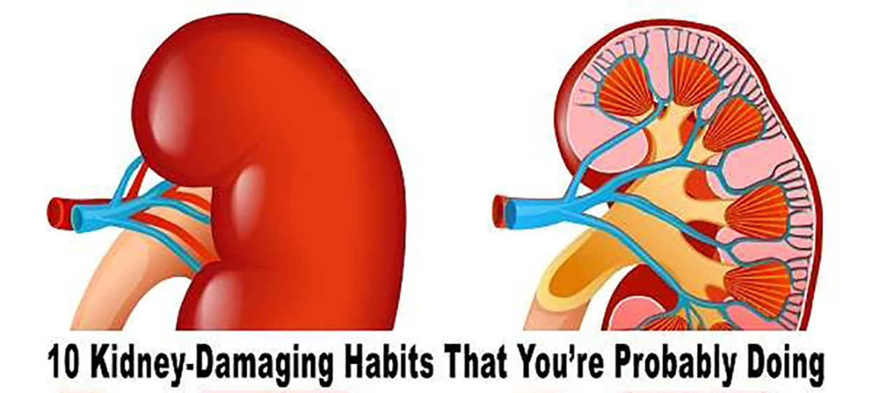 10 Most Common Habits that Damage Your Kidneys The Wisdom Awakened