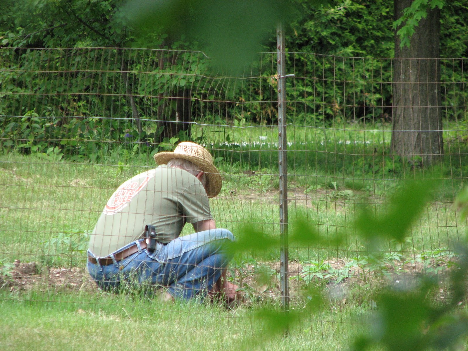 South Burlington, VT. issue 5 Photos Litter with a Story To Tell