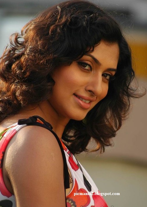 south indian actress malavika pics,malavika video,malavika pictures  