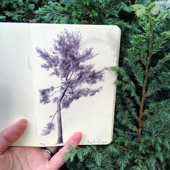 12-Dina-Brodsky-Tree-Drawings-www-designstack-co