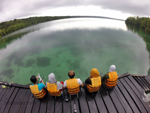 Danau Ubur-ubur tak menyengat di Indonesia