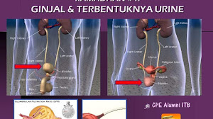 Tips Ramadhan. Atur minum agar ginjal sehat.