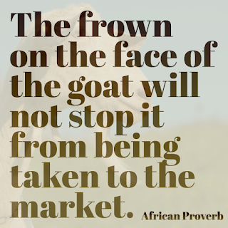 The frown on the face of the goat will not stop it from being taken to the market.