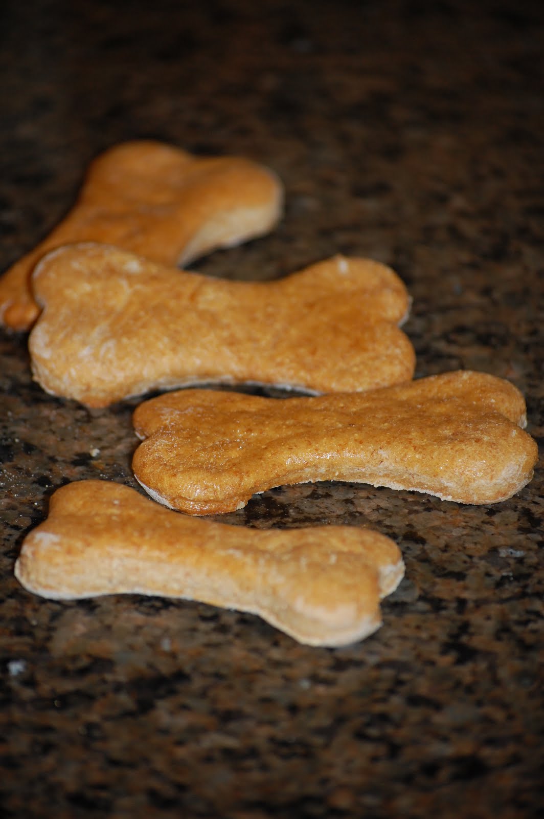 Maple Memories: Homemade Dog Biscuits