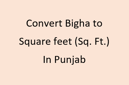 Convert Bigha to Square Feet (Sq.Ft.) in Punjab