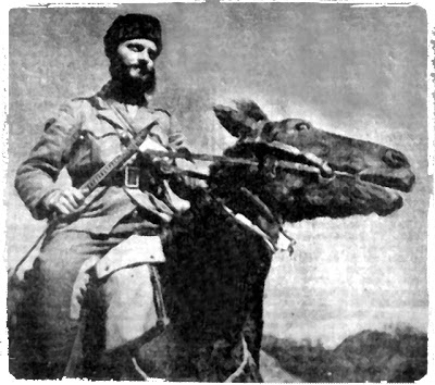 ÎÏÎ¿ÏÎ­Î»ÎµÏÎ¼Î± ÎµÎ¹ÎºÏÎ½Î±Ï Î³Î¹Î± Î±Î½ÏÎ¬ÏÏÎ· ÎÎ±ÏÎ¯Î»Î· Î ÏÎ¹ÏÎ²Î¿Î»Î¿Ï