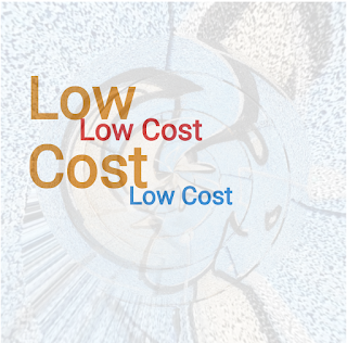 low cost significado
