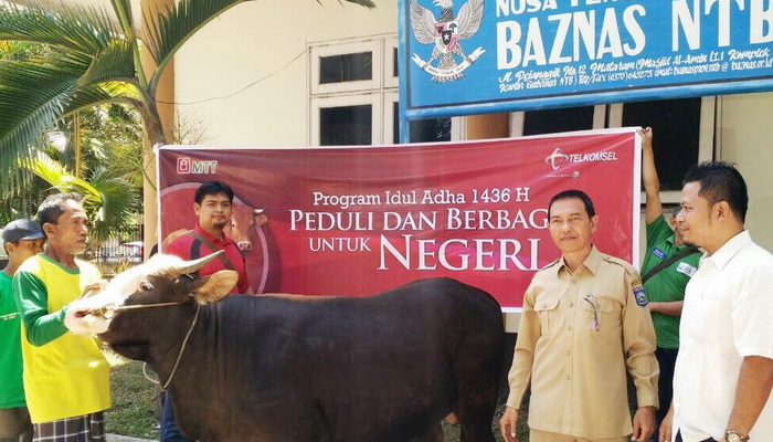Telkomsel Bagikan Hewan Kurban di 22 Titik Bali Nusra