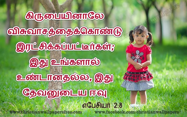 Grace of Jesus Tamil Desktop Bible Verse