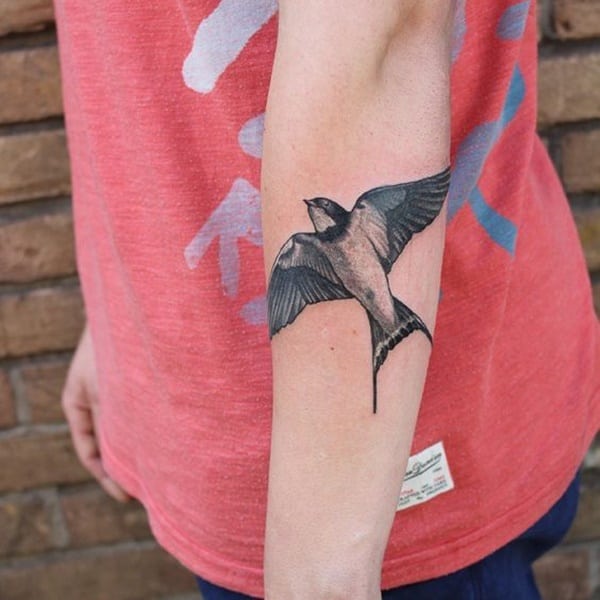 tatuagens de andorinhas para as mulheres tatuagens de andorinhas para as mulheres