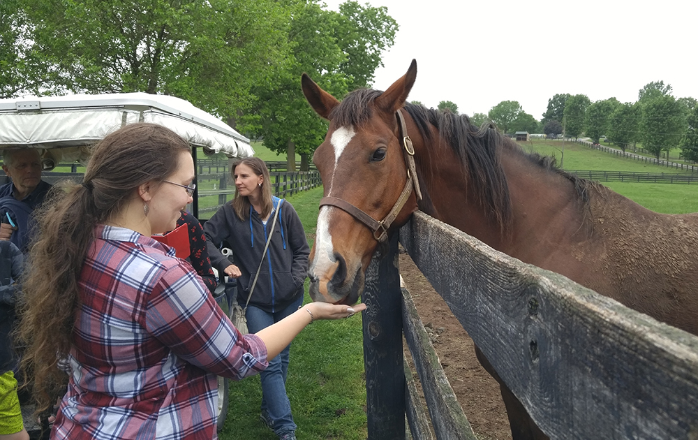 White Horse Productions Blog