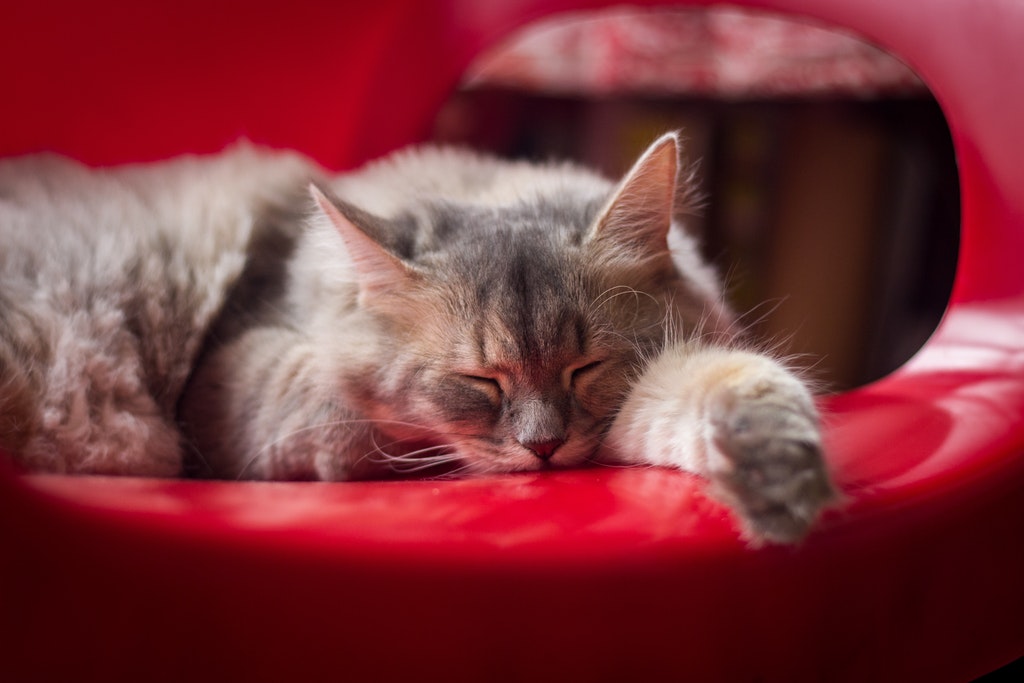 "Bed down here" nghĩa là gì?