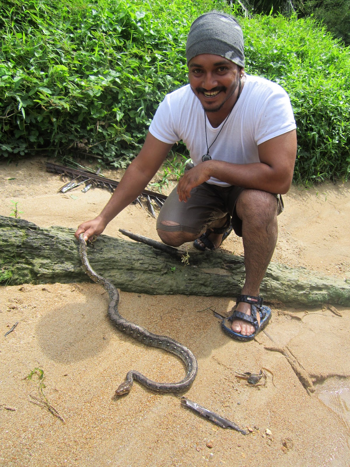 SON OF THE SNAKE KING MALAYSIA Snake Hunting