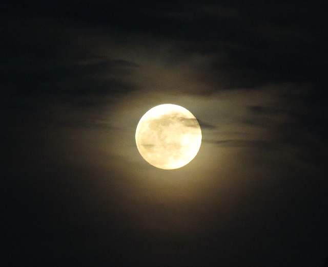 Welcome To Lavender Dreams April S Pink Moon The Farmer S Almanac Here Says That It Smallest Full Moon Of Year As Earth And Move To Furthest Points From Each Other