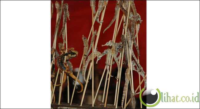 Sate kuda laut di Donghuamen Night Market