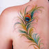 PEACOCK WING TATTOO 