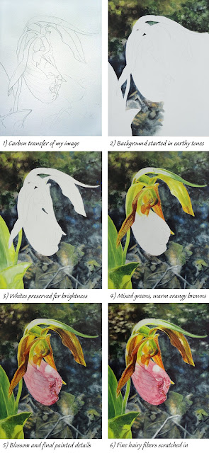 collage of step-by-step creation of Pink Lady painting