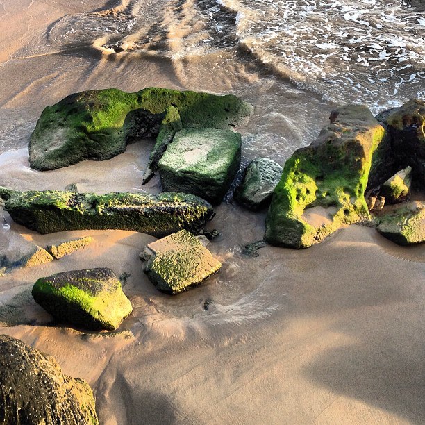 EATspeak A Glimpse of Sydney Winter