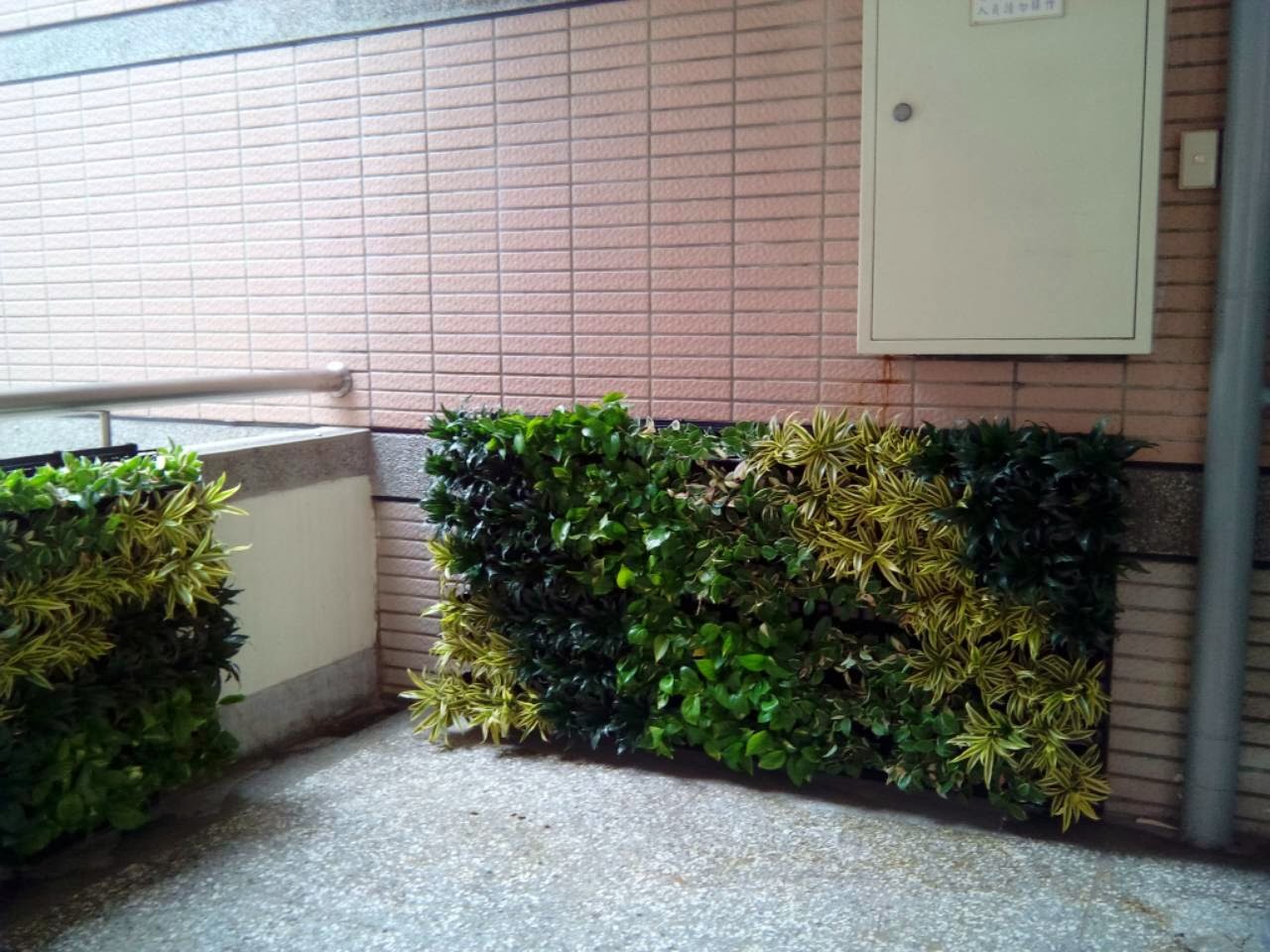 威明谷GreenWall【創新的模組化綠牆】立體植栽牆(植生牆.花牆.綠圍籬) 十一月 2013