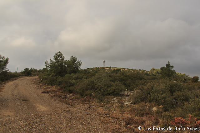 Ruta : Montau (658 m) y Puig de la Mola (427 m) (Els 100 Cims)