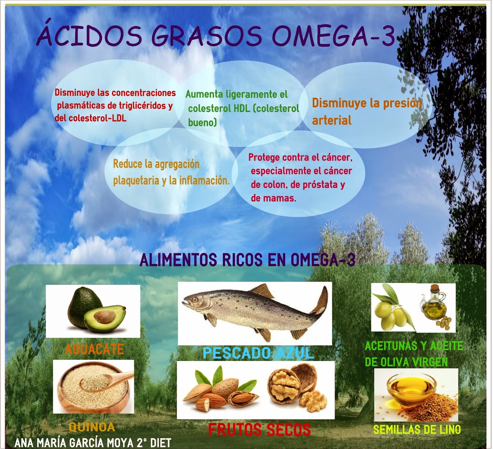 Cuaderno de salud y dietética. Infografía, ácidos grasos omega3