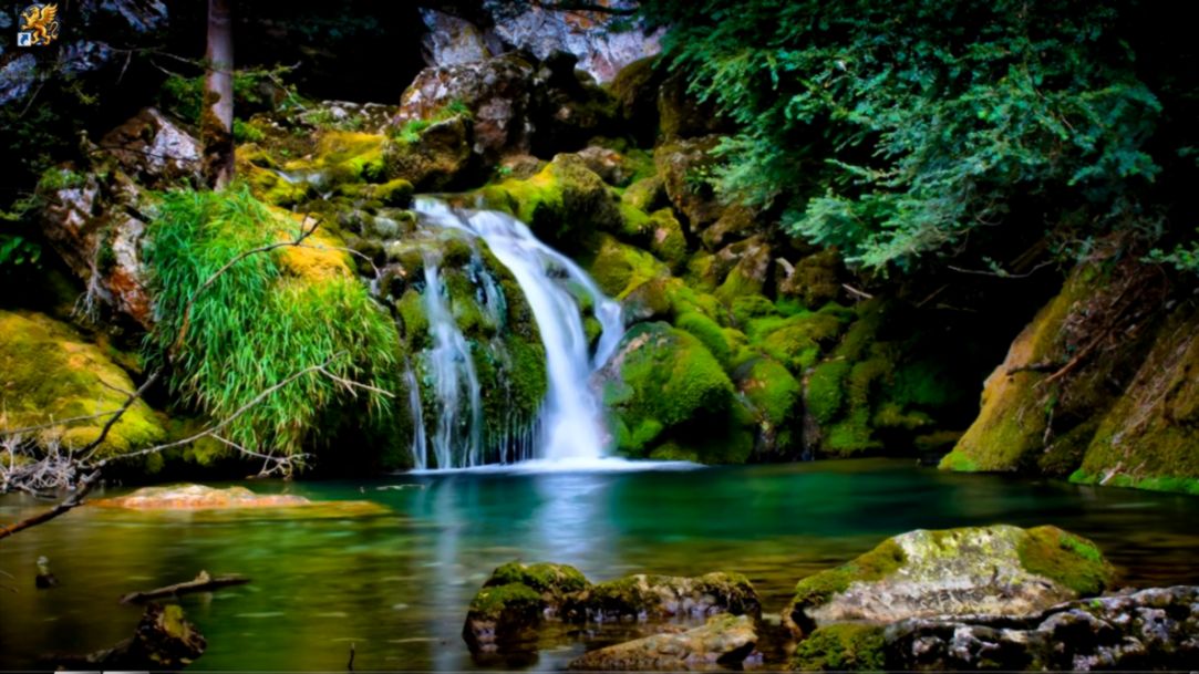 Paling Bagus 23 Wallpaper Desktop Moving Richa Wallpaper paling-bagus-23-wallpaper-desktop-moving-richa-wallpaper