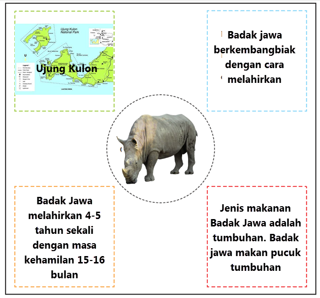 adalah spesies badak yang paling langka diantara lima spesies badak yang ada di dunia dan  Rino si Badak Jawa